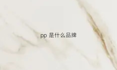 pp是什么品牌(pp是什么品牌手表)